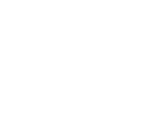 Borrower Logo